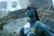 Vestea care a dezamagit milioane de fani: lansarea filmului Avatar 2, amanata pentru 2015. De ce va ajunge mai tarziu in cinema continuarea celui mai profitabil film din istorie