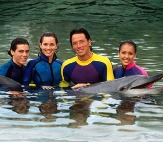 Flipper: se implinesc 48 de ani de la unul dintre cele mai bune seriale cu animale. Delfinul care s-a sinucis din cauza filmului ce l-a facut vedeta