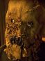 Scarecrow, jucat in Batman Begins de Cillian Murphy, este un adversar de temut, iar masca sa halucinogena il ajuta sa bage frica in toti aliatii Cavalerului Negru.