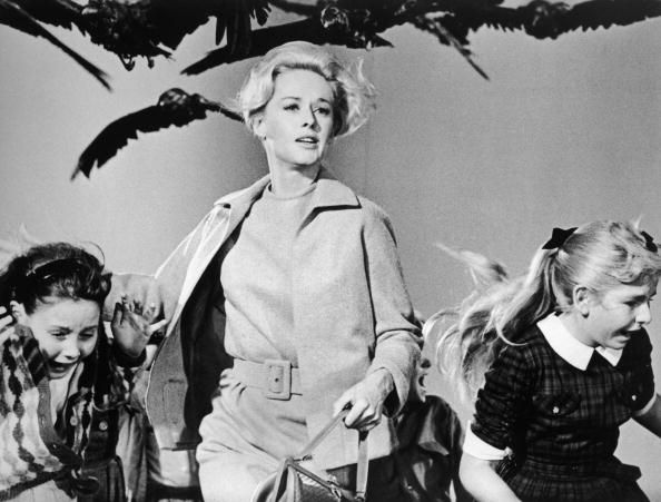 The Birds (1963): The Birds ramane infricosator si la 40 de ani de la lansare. Pasarile lui Hitchcock care au terorizat-o pe Heddren au impartit criticii: unii au considerat filmul o metafora a miscarilor culturale din anii '60, in timp ce altii au vazut un simbol al sexualitatii feminine. The Birds este si astazi un film cult pentru genul horror, regizat magistral.