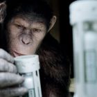 Noua trilogie Planeta Maimutelor, pusa in pericol dupa ce regizorul Rupert Wyatt a abandonat continuarea succesului neasteptat din 2011