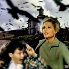 The Birds, capodopera lui Hitchcock, dupa 50 de ani: cum au fost create pasarile ucigase, secretele unuia dintre cele mai inspaimantatoare filme din istorie