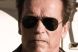 Arnold Schwarzenegger a obtinut rolul principal intr-un film cu zombie. Cum se va numi productia si cine va fi regizorul ei