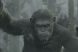 Prima imagine din Dawn of The Planet of The Apes, cum arata Caesar in continuarea filmului de succes din 2011