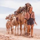 Tracks, filmul in care Mia Wasikowska calatoreste alaturi de cainele sau in desertul australian. De ce criticii sustin ca productia exercita o atractie mistica, hipnotica