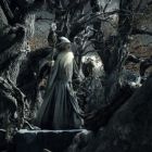 Hobbitul: Dezolarea lui Smaug, lider in box office-ul nord-american: al doilea film din trilogia lui Peter Jackson a trecut de 400 de milioane de $ la nivel global