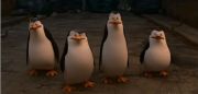 
	The Penguins of Madagascar
