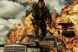 Trailer Mad Max:Fury Road: Tom Hardy si Charlize Theron infrunta Iadul intr-o lume sangeroasa si apocaliptica, primele reactii de la Comic-Con sunt senzationale