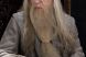 Michael Gambon, interpretul lui Dumbledore din Harry Potter, se retrage din activitate: actorul sufera de pierderi de memoria si nu mai poate juca