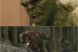 EXCLUSIV: Mark Ruffalo dezvaluie secretele celui mai manios super erou: cum se transforma Hulk din renegat in eroul devastator al Razbunatorilor in Avengers: Age of Ultron