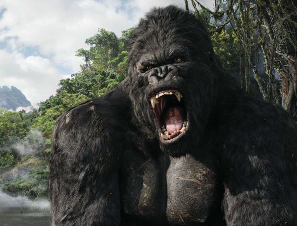 Russell Crowe, in negocieri pentru a juca in continuarea filmului King Kong : cine ar putea juca rolul feminin principal
