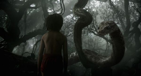 TRAILER. Noua varianta Disney pentru The Jungle Book este live action , cu animale generate pe computer. Ce actori celebri si-au imprumutat vocile pentru Baloo sau Kaa