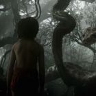 TRAILER. Noua varianta Disney pentru The Jungle Book este live action , cu animale generate pe computer. Ce actori celebri si-au imprumutat vocile pentru Baloo sau Kaa