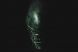 Primul poster pentru Alien:Covenant: filmul ajunge mai devreme in cinematografe. Care este noua data de lansare