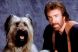 Chuck Norris are cel mai simpatic partener în Top Dog