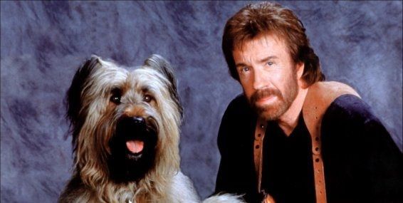 Chuck Norris are cel mai simpatic partener în Top Dog