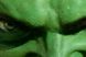 Eric Bana se transformă în uriașul Hulk, eroul universului fantastic Marvel, adus pe ecrane de Ang Lee