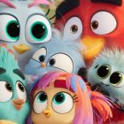 The Angry Birds Movie 3 - c&acirc;nd furia devine familie și aventura se reinventează