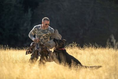 Brad Pitt spune că viața e mai frumoasă alături de c&acirc;ini