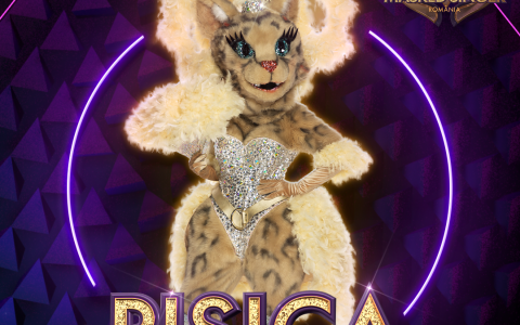 pisica - Protv.ro