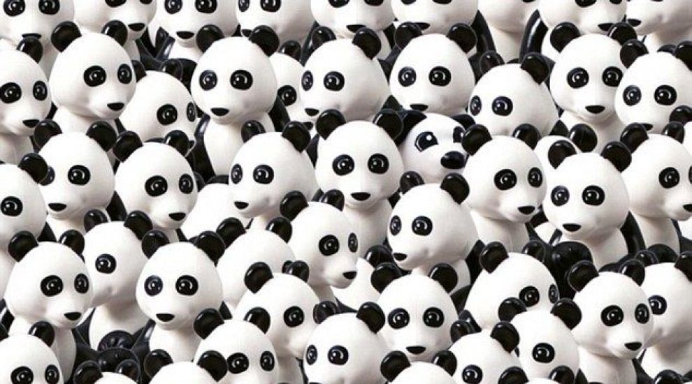 
	Iluzie optică virală! Tu poți găsi câinele care se ascunde printre urșii panda?
