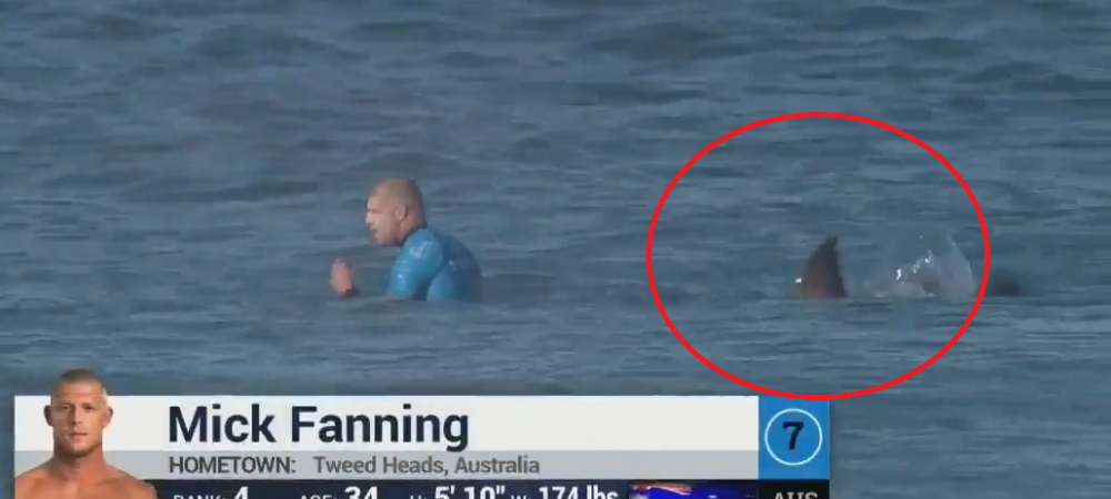 Iti ingheata sangele in vene! <span style="color:#f00;">Un surfer e atacat de rechin IN DIRECT la TV!</span> Reactia comentatorilor e incredibila - VIDEO