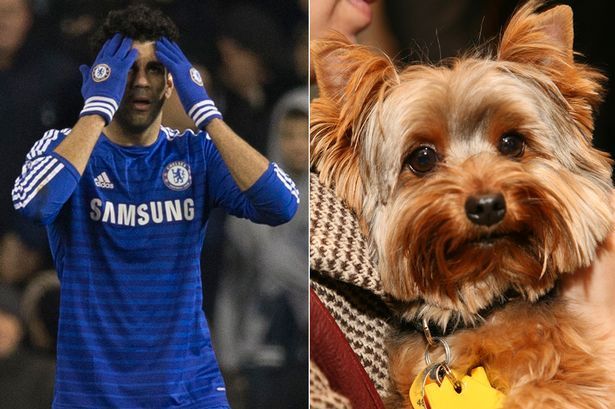 Drama groaznica prin care a trecut Diego Costa: <span style="color:#f00;">"A fost in depresie o luna!" </span>Cum si-a omorat propriul caine