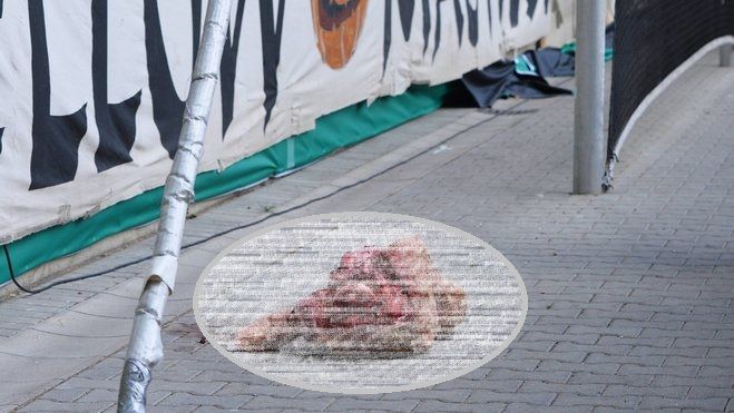 <span style="color:#f00;">Gest socant al fanilor in Cupa Germaniei!</span> Au aruncat un cap de animal in fata peluzei. Imagini dure