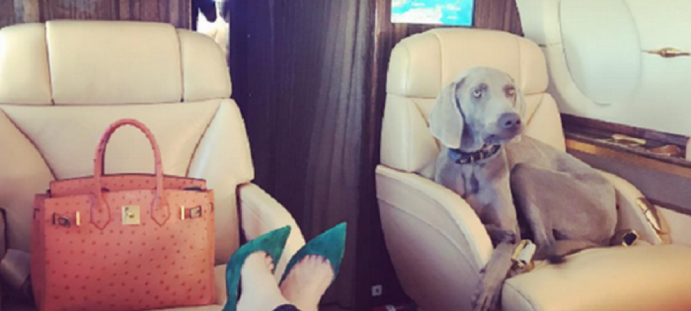 Aroganta mai mare nu se poate :) Iubita unui fotbalist <span style="color:#f00;">a inchiriat un avion privat sa isi plimbe catelul pana in Ibiza FOTO</span>