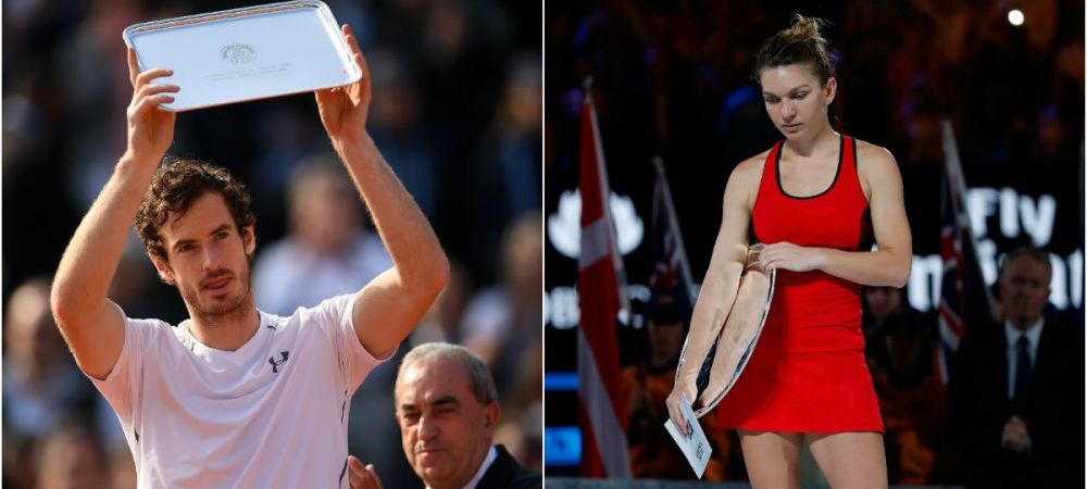 SIMONA HALEP //<span style="color:#f00;"> "Oamenii care lupta pot pierde! Oamenii care nu lupta au pierdut deja".</span> Simona si exemplul Murray. De cate finale a avut nevoie britanicul pentru primul GS