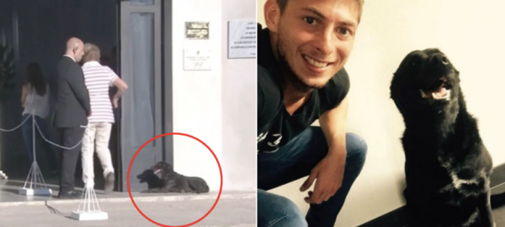 Imaginea care iti va frange inima! Moment incredibil la inmormantarea lui Emiliano Sala! <span style="color:#f00;">Ce a facut catelul sau in timp ce trupul neinsufletit al fotbalistului era in capela</span>