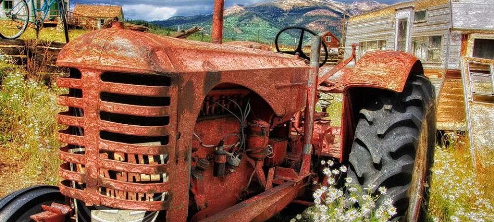 (P) 5 afaceri in agricultura in care sa investesti in 2021
