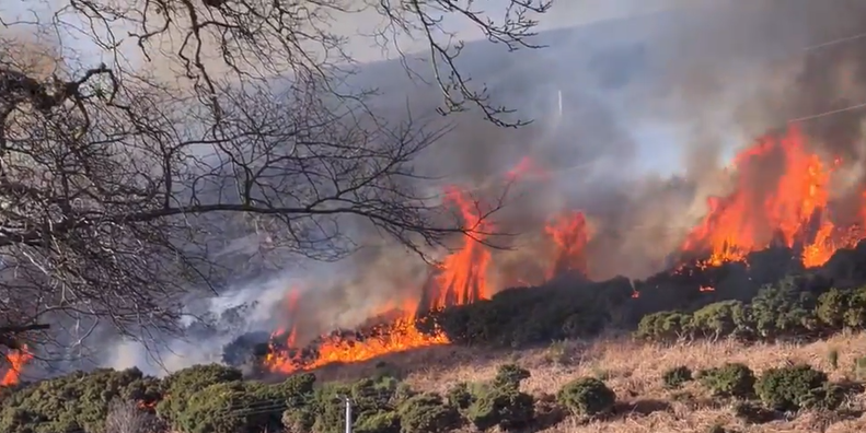 Un incendiu a izbucnit langa autostrada! <span style="color:#f00;">Imaginile DRAMATICE care fac inconjurul lumii</span>